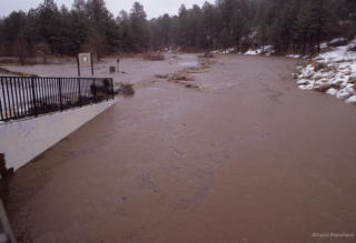 0040_20041229_101_flood.jpg