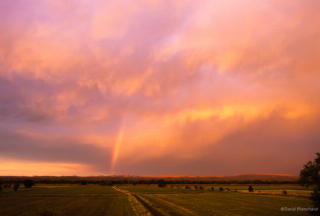 0170_20050526_2145_130_rainbow.jpg