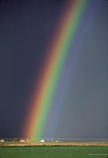 0190_19850506_07_rainbow.jpg