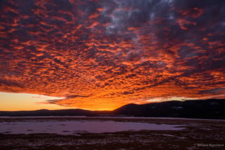 0090_20201112_1730_DBP_6643-HDR.jpg