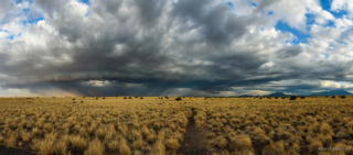 0090_20180710_1842_DBP_9091-Pano.jpg