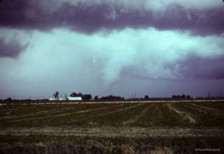 005_19820625_1847_16_Greeley.jpg