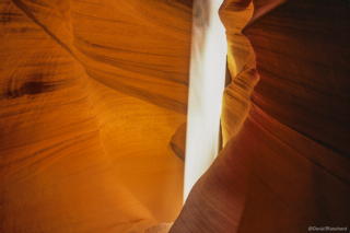 0080_2004_0600a_Antelope_212.jpg