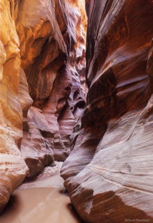0110_2007_0609_BuckskinGulch_126.jpg