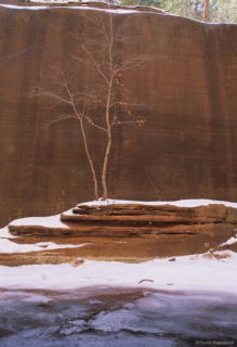 0120_2007_0115_wfoc_312.jpg