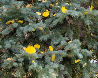 0360_20131005_1206_DBP_4514.jpg
