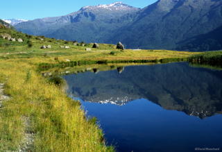 0020_2008_0104_nz_201.jpg