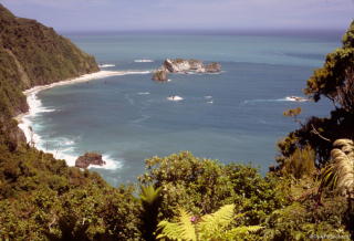0040_2008_0110_nz_0415.jpg