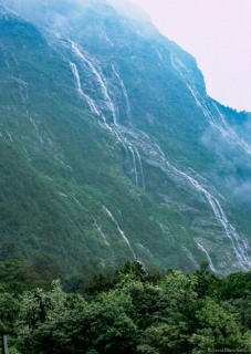 0130_2008_0114_nz_513.jpg