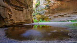 0280_20140903_1248_DBP_0401-HDR.jpg