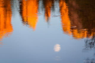 0410_20180921_1803_DBP_5547.jpg